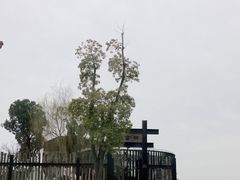 -广富林郊野公园