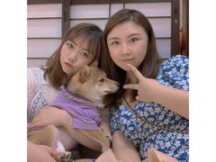 -逗柴咖啡屋·狗咖猫咖宠物桌游