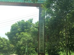 -从化深英荔枝黄皮龙眼采摘园