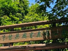 -牛背梁国家森林公园