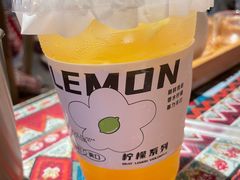 大理酸木瓜恋上山茶花-云边嬢嬢·云南野料现摏火锅