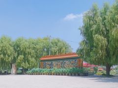 -白洋淀风景区