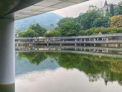 -银湖山郊野公园-相思林