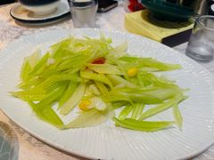 -丁老爷子苏香圆