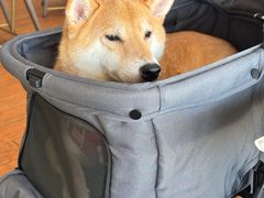 -y SEA·西班牙餐厅(阿那亚·北戴河店)