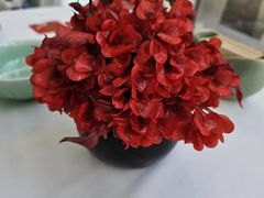 -止观小馆·辽河口渔家菜(王府井店)