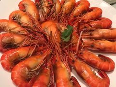 罗氏虾-东海海鲜酒家(中信广场店)