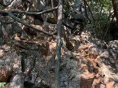 -普者黑风景区-青龙山