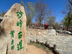 -阳台山自然风景区