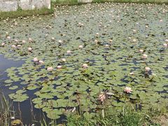 -宁波杭州湾国家湿地公园