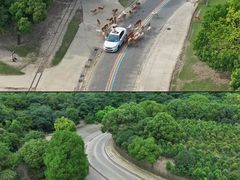 -常州淹城野生动物世界