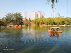 -南翠屏公园