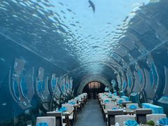 -涛·海底餐厅·美人鱼·自助餐·海底隧道(三亚海棠湾洲际度假酒店)