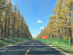 -塞罕坝国家级自然保护区