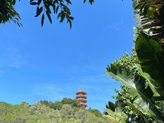 -深圳仙湖植物园