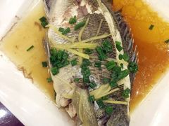 -俊江海鲜酒店(海陵岛白蒲市场店)