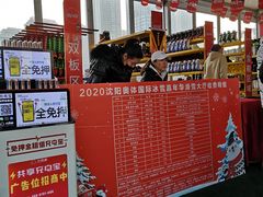-沈阳奥体冰雪嘉年华