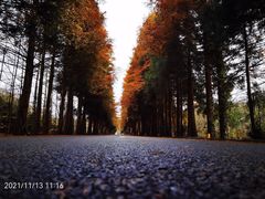 -山王坪喀斯特国家生态公园