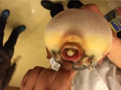 iphone_upload_pic-长顺河豚馆(江洲东路)