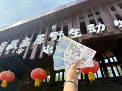 -青藏高原野生动物园