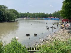 -上海野生动物园老虎餐厅