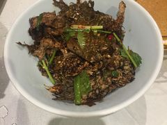 -阿斯牛牛·凉山菜(新会展店)