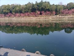 -望江楼公园