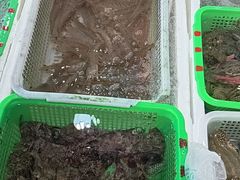 -外伶仃岛海鲜市场