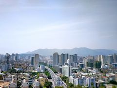 -金鸡山公园