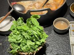 -大龙燚·旷野鲜火锅(广州首店)