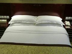 -维也纳国际酒店·上海虹桥火车站国家会展中心店