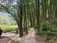 -白河湾生态旅游一条川