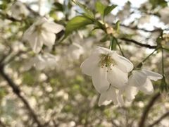 -南京外国语学校(仙林分校西区)