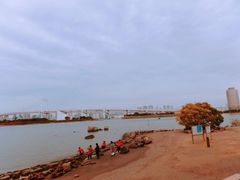 -台场海滨公园船码头