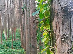 -南京金牛湖风景区