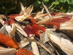 -金堂县云顶石城风景区