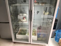 -糕小爱·动物奶油生日蛋糕定制(江阴店)