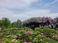 -晋祠博物馆