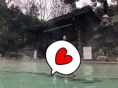 -青城道汤池