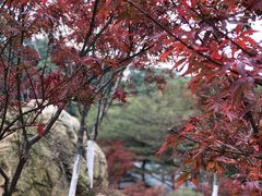 -广州市帽峰山景区