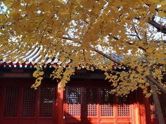-承恩寺