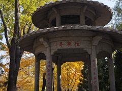 -玲珑塔公园