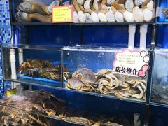 -蚝专家(北滘店)