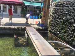 -京北渔家傲