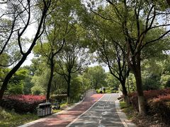 -八大山人梅湖景区