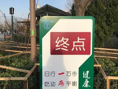 -大兴滨河森林公园