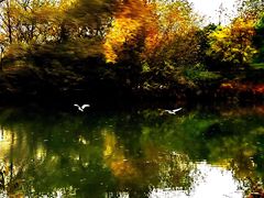 -西溪国家湿地公园