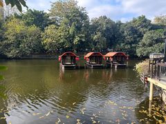 -侨美·唐荔园·40年地道粤菜