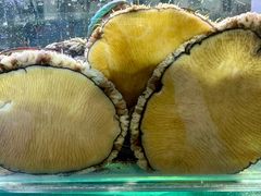 -来之顺海鲜菜馆·青岛菜·始于1993(栈桥店)