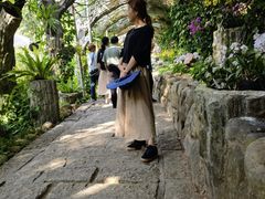 -三亚亚龙湾人间天堂鸟巢度假村